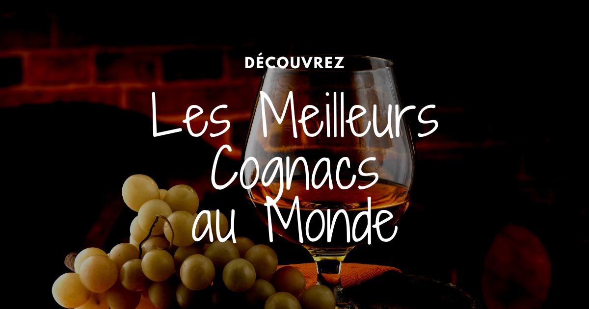 You are currently viewing Les meilleurs cognacs du monde en 2024