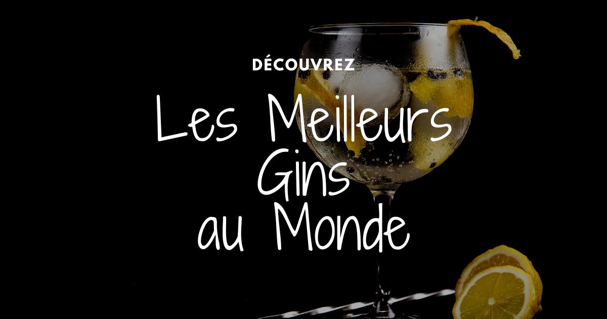 You are currently viewing Les 5 meilleurs gins du monde en  2024