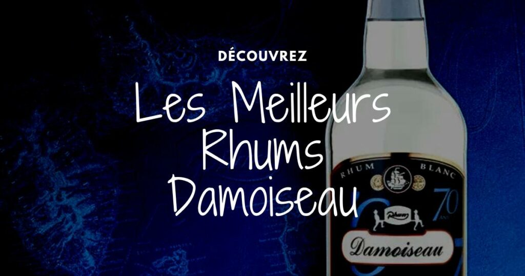 Lire la suite à propos de l’article Les meilleurs Rhums Damoiseau, avis, prix, et histoire de la célèbre rhumerie guadeloupéenne